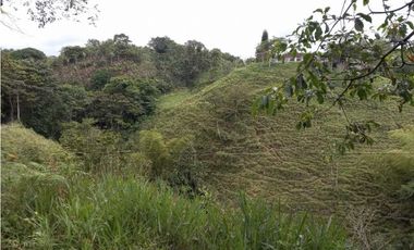 Finca ganadera en filandia 14 cuadras con vista y excelente aguas