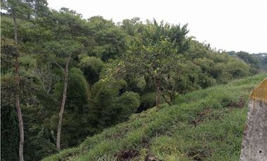 Finca ganadera en filandia 14 cuadras con vista y excelente aguas