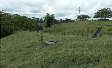 Finca ganadera en filandia 14 cuadras con vista y excelente aguas