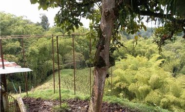 Finca ganadera en filandia 14 cuadras con vista y excelente aguas