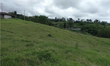 Finca ganadera en filandia 14 cuadras con vista y excelente aguas