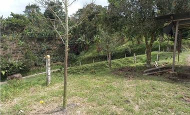 Finca ganadera en filandia 14 cuadras con vista y excelente aguas