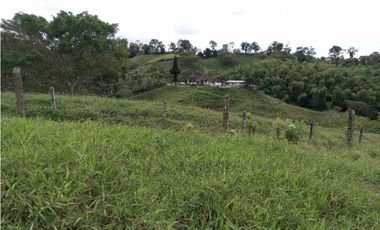 Finca ganadera en filandia 14 cuadras con vista y excelente aguas