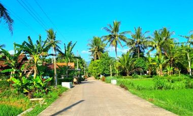 Cheap Land West of YIA Airport, Row Road 5m