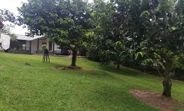 VENTA de FINCAS en PEREIRA