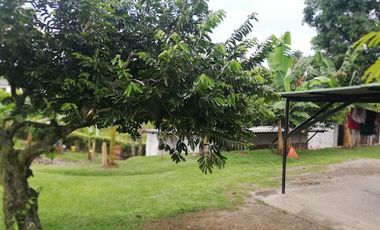 VENTA de FINCAS en PEREIRA