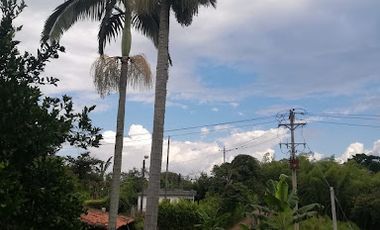 VENTA de FINCAS en PEREIRA