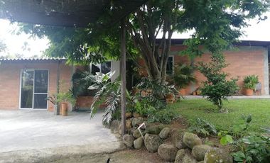 VENTA de FINCAS en PEREIRA