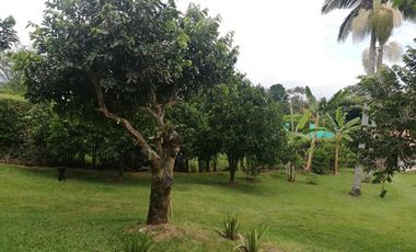 VENTA de FINCAS en PEREIRA