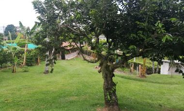 VENTA de FINCAS en PEREIRA