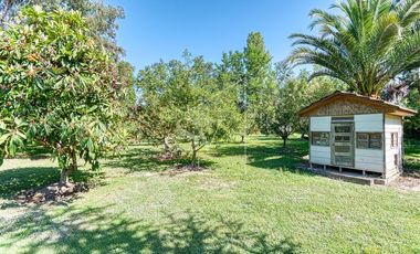 Parcela en venta, Calera de Tango, 5000 mts2, casa, 7 dorm.