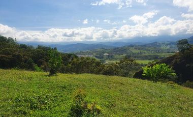 finca en venta en vereda la laguna. Cod V1503