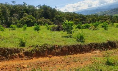 finca en venta en vereda la laguna. Cod V1503