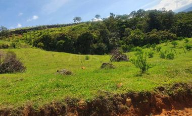 finca en venta en vereda la laguna. Cod V1503