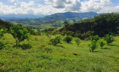 finca en venta en vereda la laguna. Cod V1503