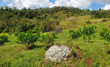 finca en venta en vereda la laguna. Cod V1503