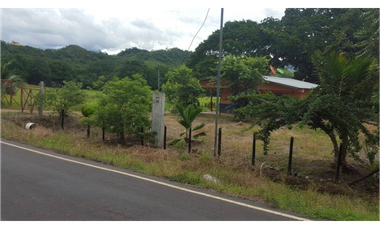 VENDO/ALQUILO 33 HECTAREAS VIA OL
