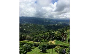 Vendo finca anapoima