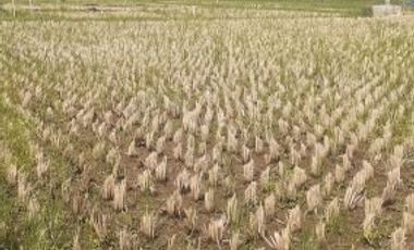 Tanah Dijual di Cibiru Bandung