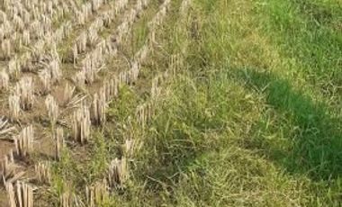 Tanah Dijual di Cibiru Bandung