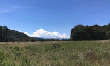 Excelente terreno con arboles frutales, pozo y servicios, magnífico precio