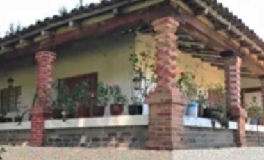Excelente terreno con arboles frutales, pozo y servicios, magnífico precio