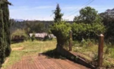 Excelente terreno con arboles frutales, pozo y servicios, magnífico precio
