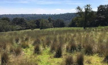 Excelente terreno con arboles frutales, pozo y servicios, magnífico precio