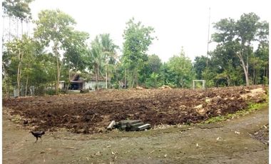 700 Meter Jl. Wates; Tanah Murah dekat kota Jogja