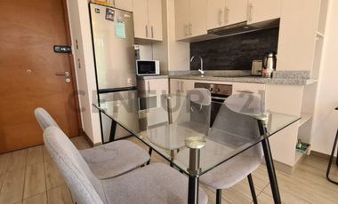 DEPARTAMENTO EXCLUSIVO CONDOMINIO CAMINO AL VOLCAN, A 2 KM DEL CENTRO DE PUCON