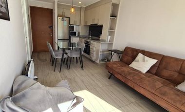 DEPARTAMENTO EXCLUSIVO CONDOMINIO CAMINO AL VOLCAN, A 2 KM DEL CENTRO DE PUCON