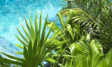 Venta y PreVenta de Propiedades, en Aldea Savia Tulum