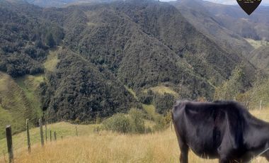 Terreno de venta en Cumbe – código:20178