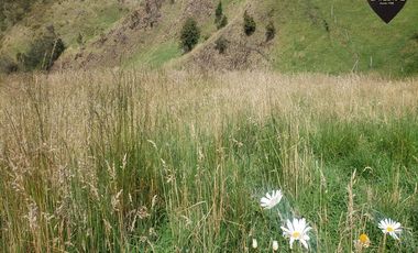 Terreno de venta en Cumbe – código:20178