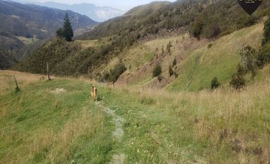 Terreno de venta en Cumbe – código:20178