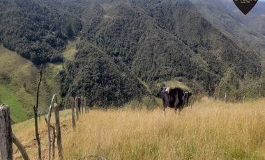 Terreno de venta en Cumbe – código:20178