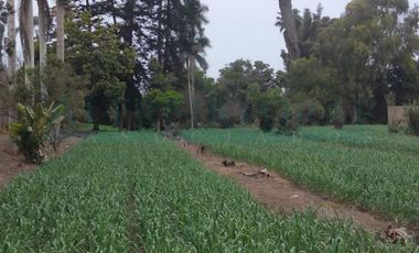 Terrenos Industriales Venta CAR. PANAMERICANA NORTE  - CHANCAY