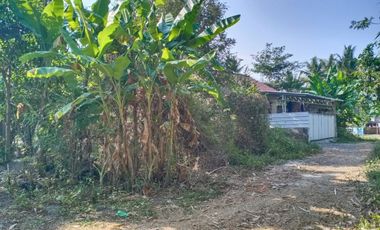 Hunian Nyaman Minimalis Lokasi Strategis SHM