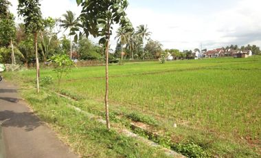 Kavling Tengah Kota Di Purworejo Jawa Tengah 9495