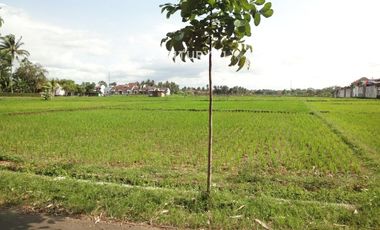 Kavling Tengah Kota Di Purworejo Jawa Tengah 9495