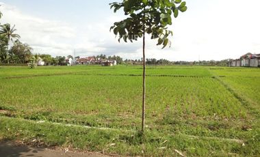 Kavling Tengah Kota Di Purworejo Jawa Tengah 9495