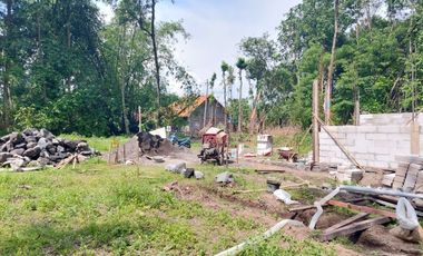 PILIHAN TEPAT Rumah Studio di Klaten Hanya 150 Jt-an!