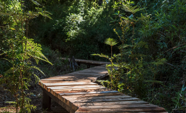 Parcela en Venta en La Reserva de Frutillar