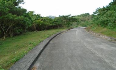 168 SQM READY FOR BUILDING Lot for Sale in GREENWOODS SUBDIVISION near Talamban Cebu City