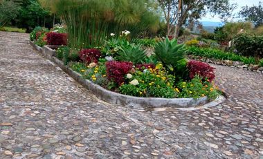 finca en venta en santa elena. Cod V10282