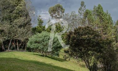 finca en venta en santa elena. Cod V10282