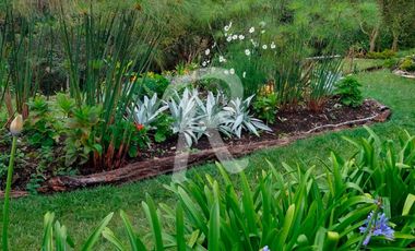 finca en venta en santa elena. Cod V10282