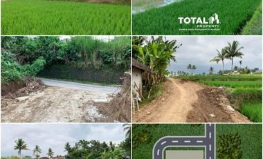 Tanah Ekslusive Harga Ekonomis View Sawah di Area Ubud Gianyar