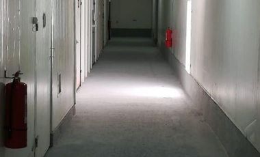 Las Ranas - Curicó, Curicó