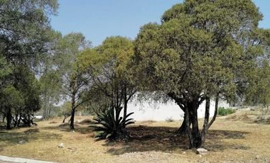 Excelente Ubicación Terreno en Venta en Haras del Bosque Clúster Álamos II